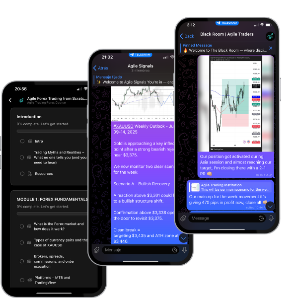 imagen sobre nosotros